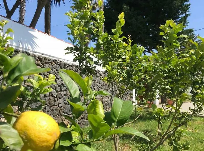 Silveira By The Sea Holiday home